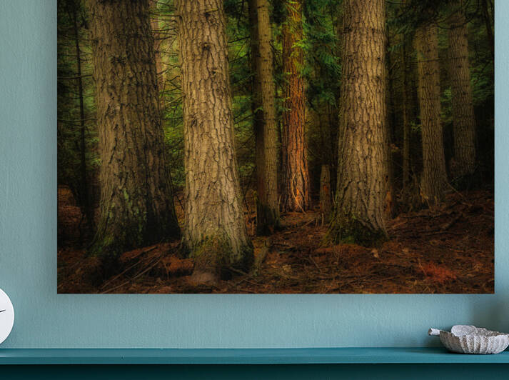 Forest at the Confluence by Dan Eskelson
