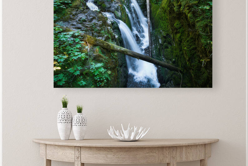 Sol Duc Falls Reproduction