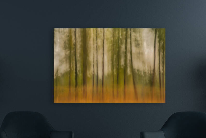Forest Vision Reproduction