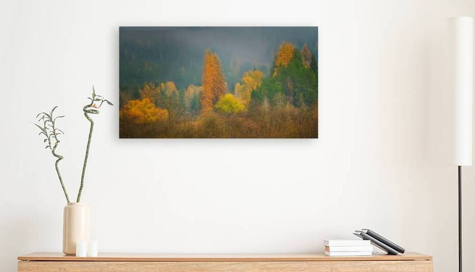 Fall Color by Dan Eskelson