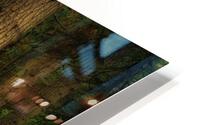Forest at the Confluence HD Metal print