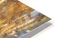 Aspen Grove HD Metal print