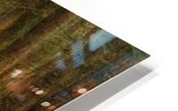 Moody Forest HD Metal print