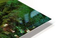 Sol Duc Falls HD Metal print