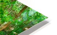 Sealodge Beach Forest HD Metal print