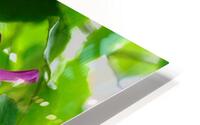 Akebia HD Metal print
