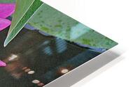 Water Lily HD Metal print