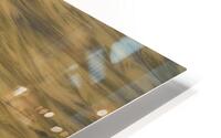 Sand Patterns HD Metal print