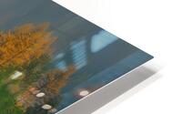 Fall Color HD Metal print