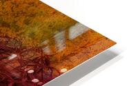 Fall Color HD Metal print