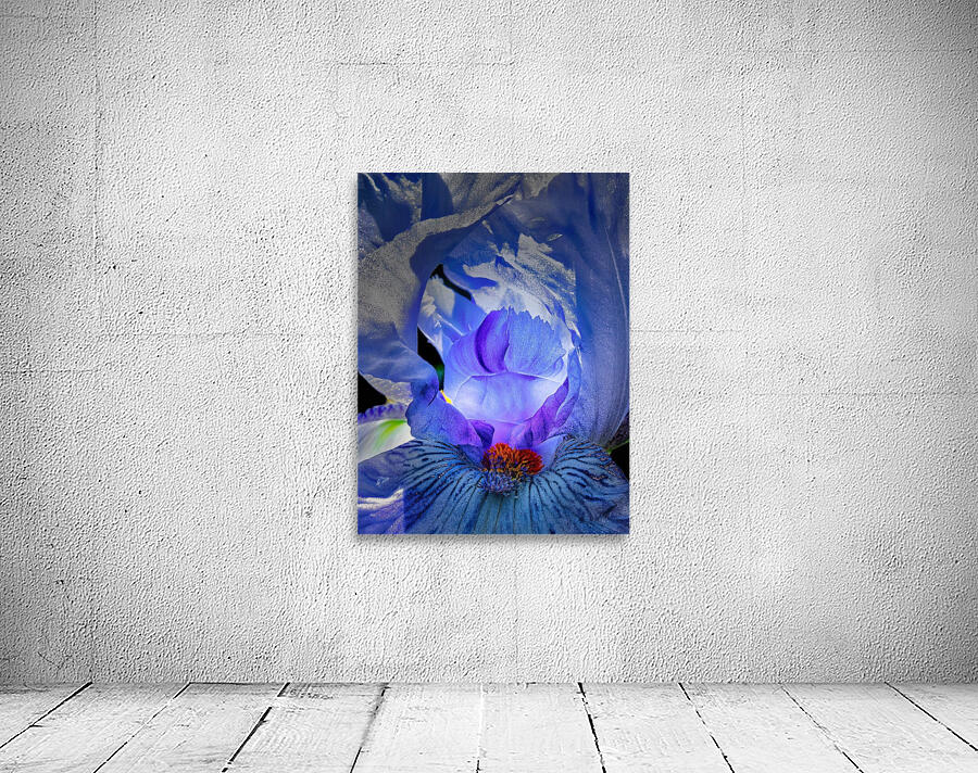 Iris Beauty 1 Wall Preview