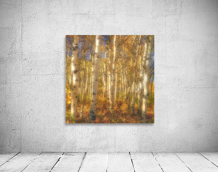 Aspen Grove Wall Preview