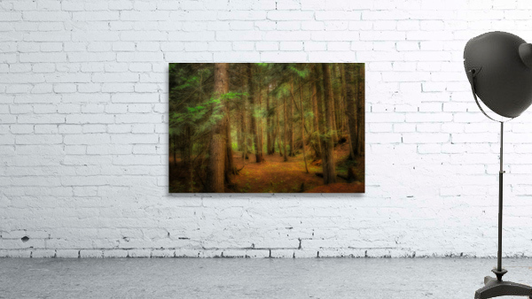 Moody Forest Wall Preview