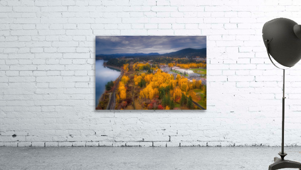 Fall Color Wall Preview