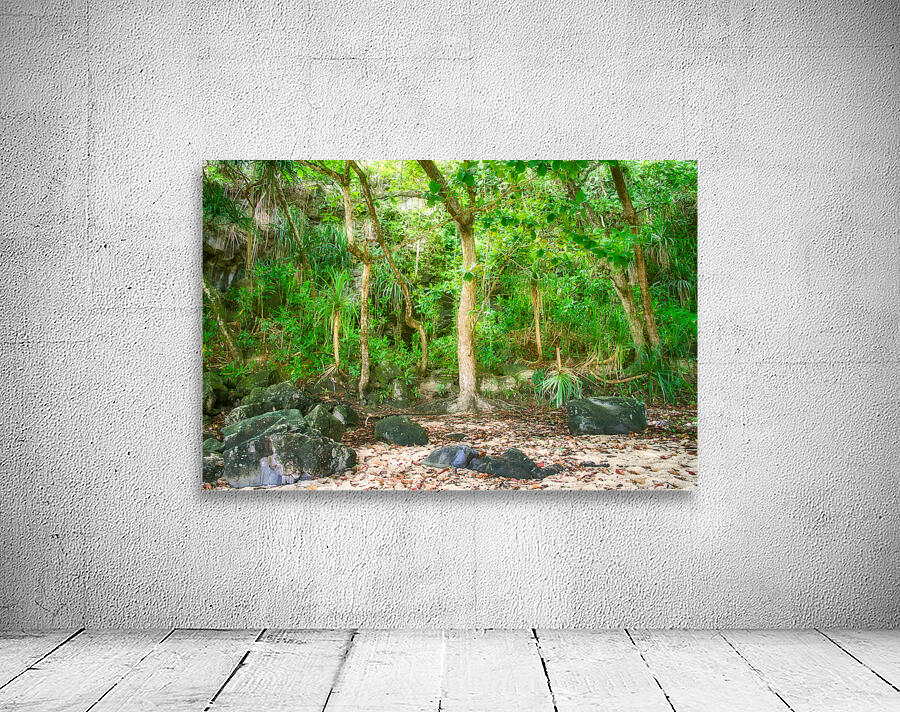 Sealodge Beach Forest Wall Preview