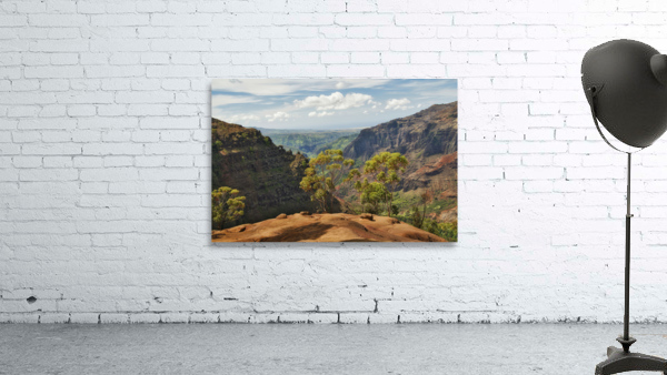 Waimea Canyon 4 Wall Preview
