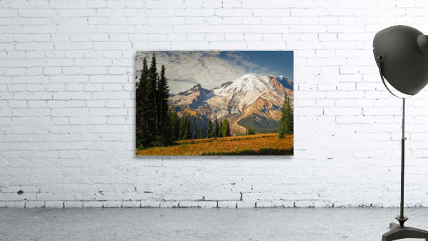Mt. Rainier Wall Preview
