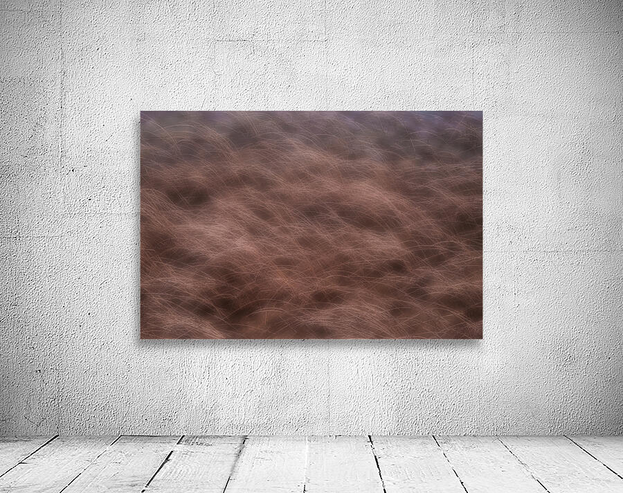 Lake Grasses Wall Preview