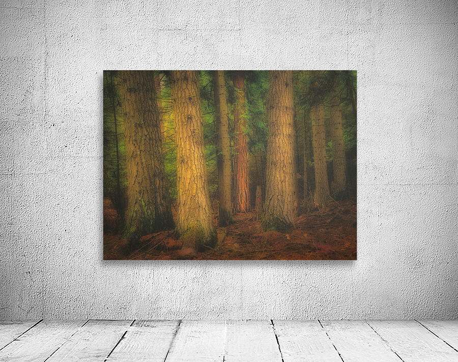 Mystical Forest Wall Preview
