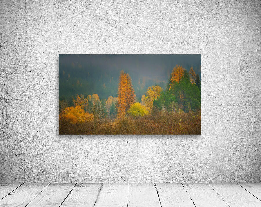 Fall Color Wall Preview
