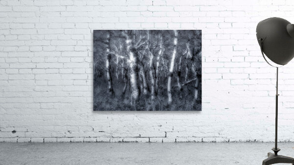 Dancing Aspens Wall Preview