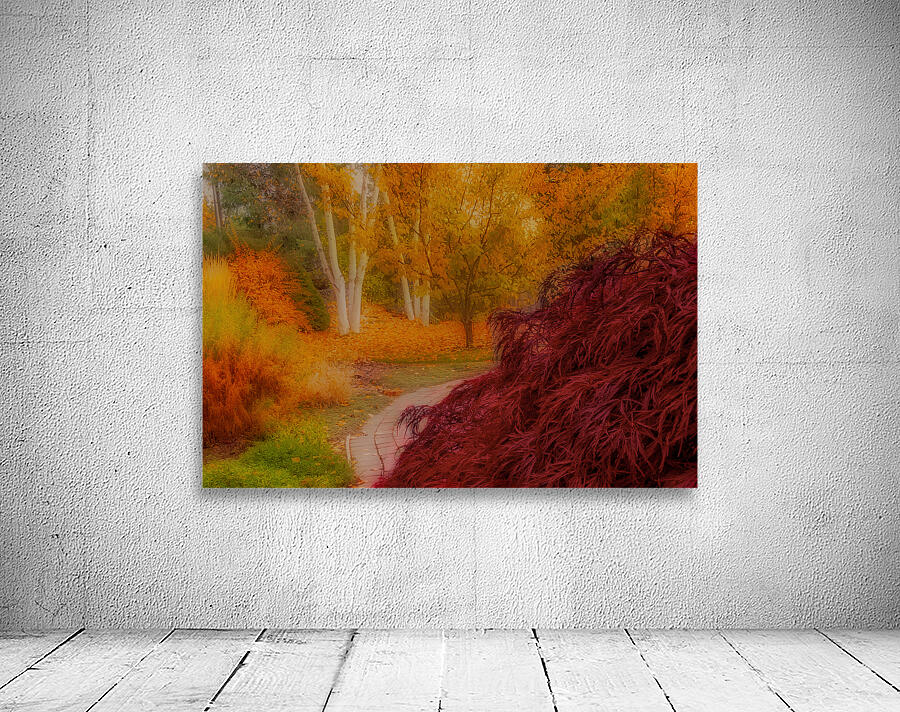 Fall Color Wall Preview