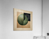 Organic abstract 8 Acrylic Print