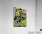 Mossy butterfly Acrylic Print