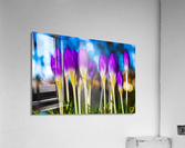 Flowers  Acrylic Print