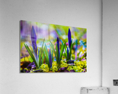 flowers  Acrylic Print