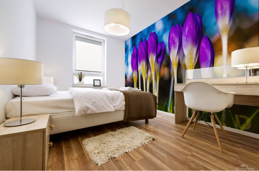 Flowers  Mural print