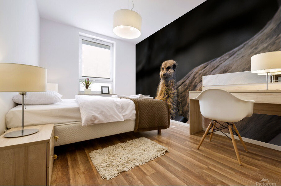 Funny animal Mural print