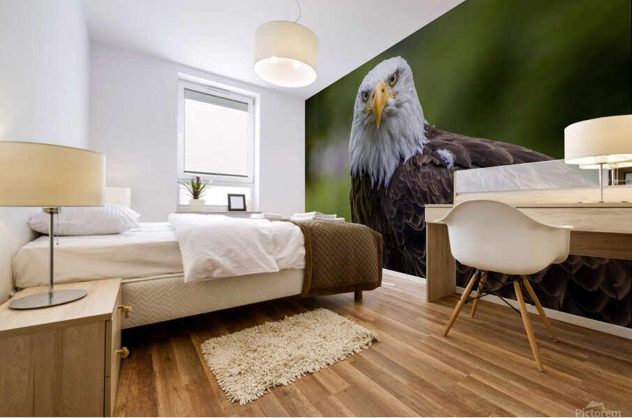 Eagle Mural print