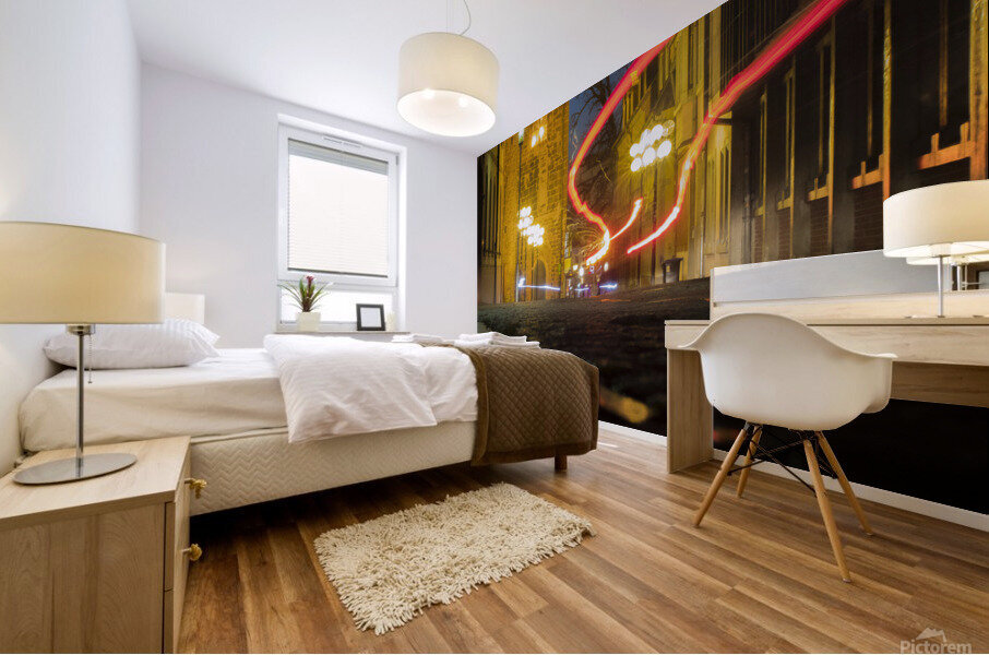 Night city  Mural print