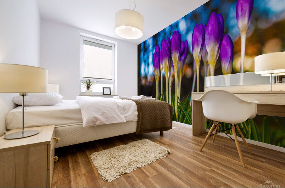 Flowers  Mural print