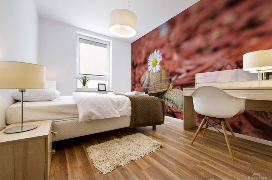 snail Mural print