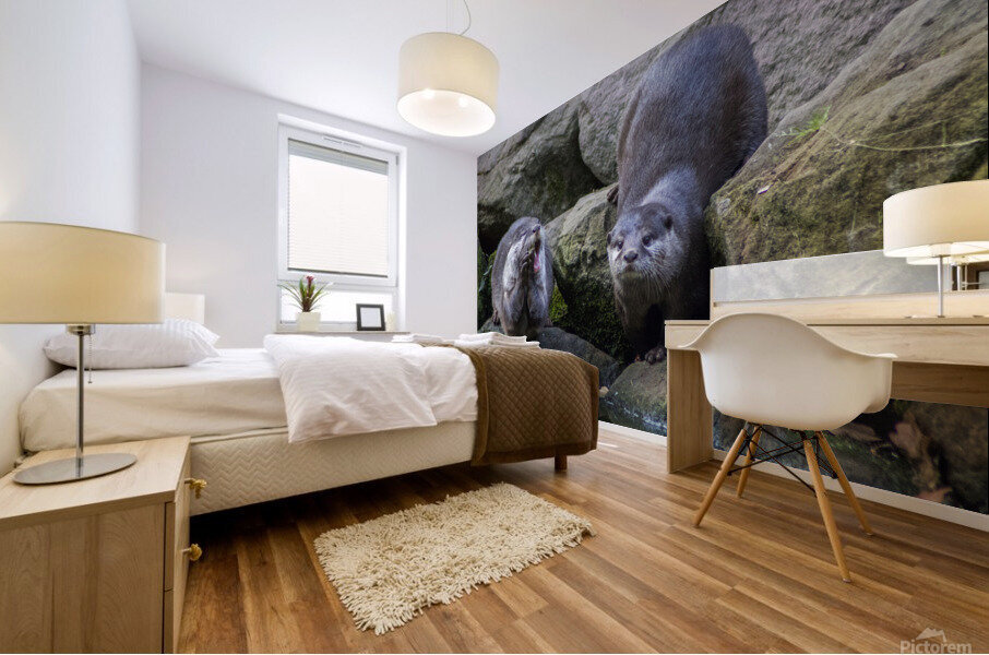 otters Mural print