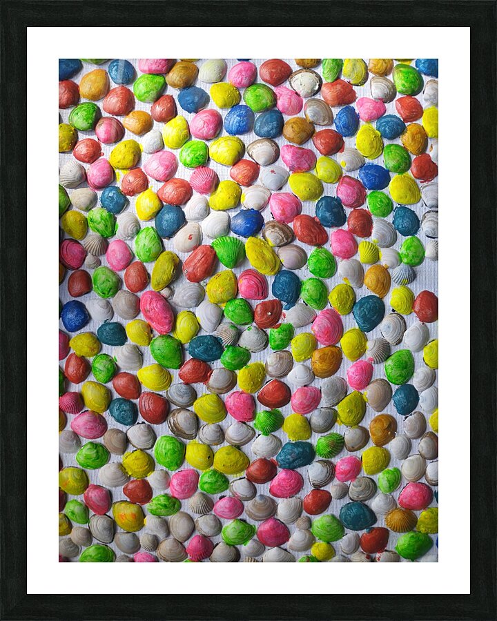 SKITTLES SEASHELLS Picture Frame print