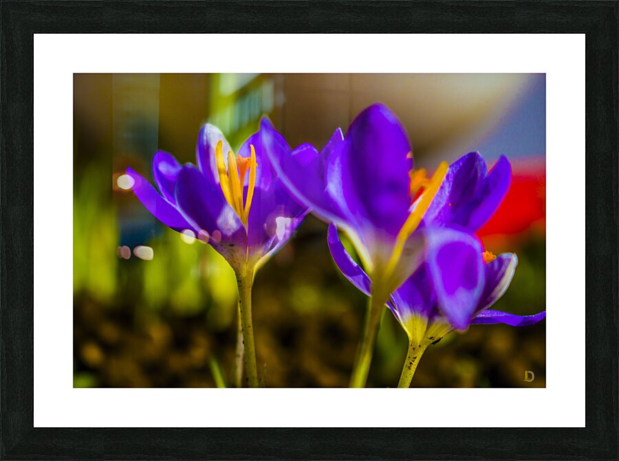 flowers Picture Frame print