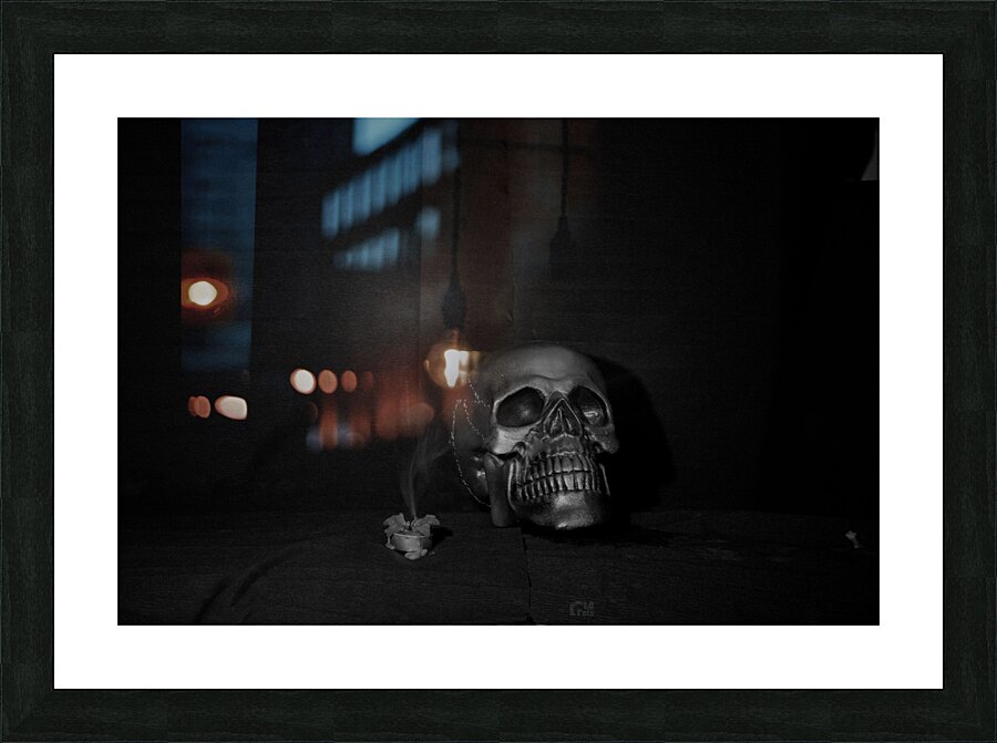  skull Picture Frame print