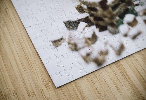 The Well navickas puzzle