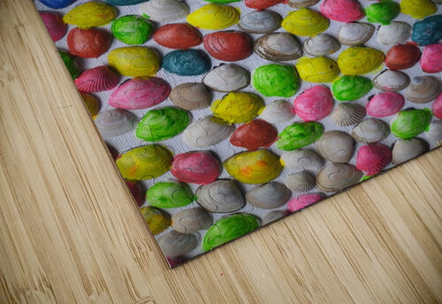 SKITTLES SEASHELLS navickas puzzle