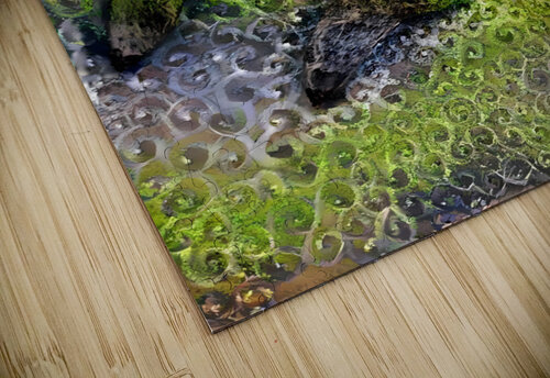 Mossy butterfly navickas puzzle