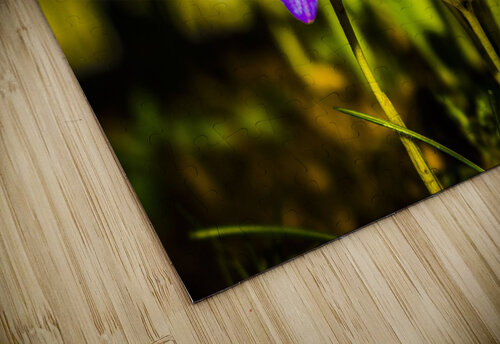 Flowers  navickas puzzle