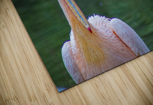 Pink pelican navickas puzzle