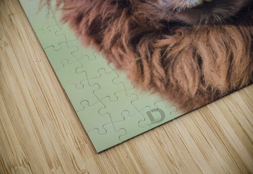 Lama navickas puzzle