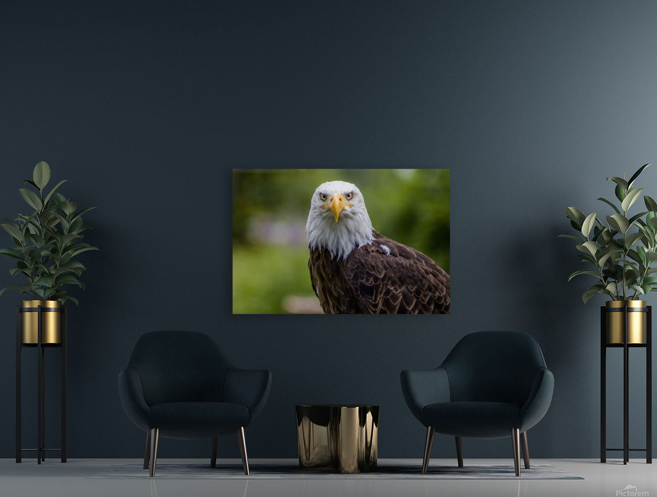 Eagle Reproduction