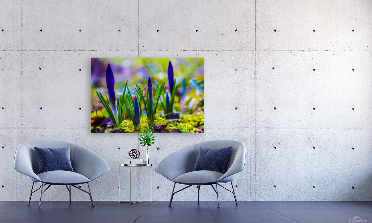 flowers  Reproduction