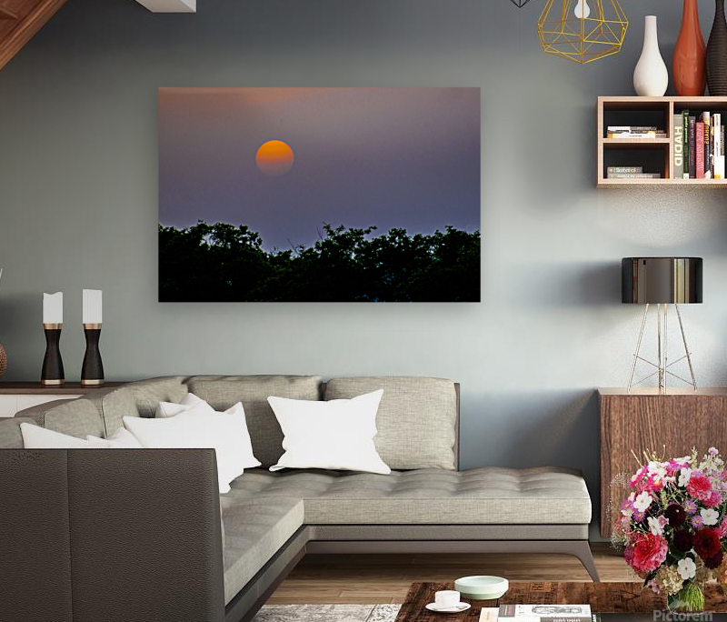 Sunset  Reproduction