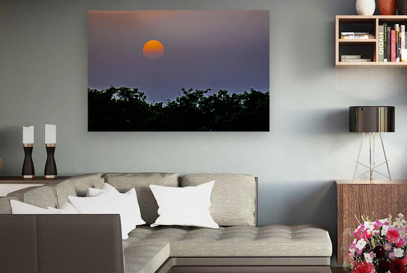 Sunset  Reproduction